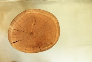 Raw wood stool BURNINGMAN ©BrutDesign2015