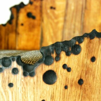 Upcycled wine barrel armchair SPOOTNIK#2 ©BRUTDESIGN2016